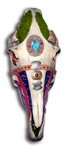 new skull
