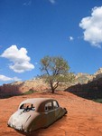 Abandoned.jpg
