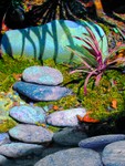 Painted Rocks